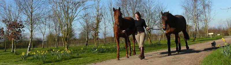 Great Ashley Farm