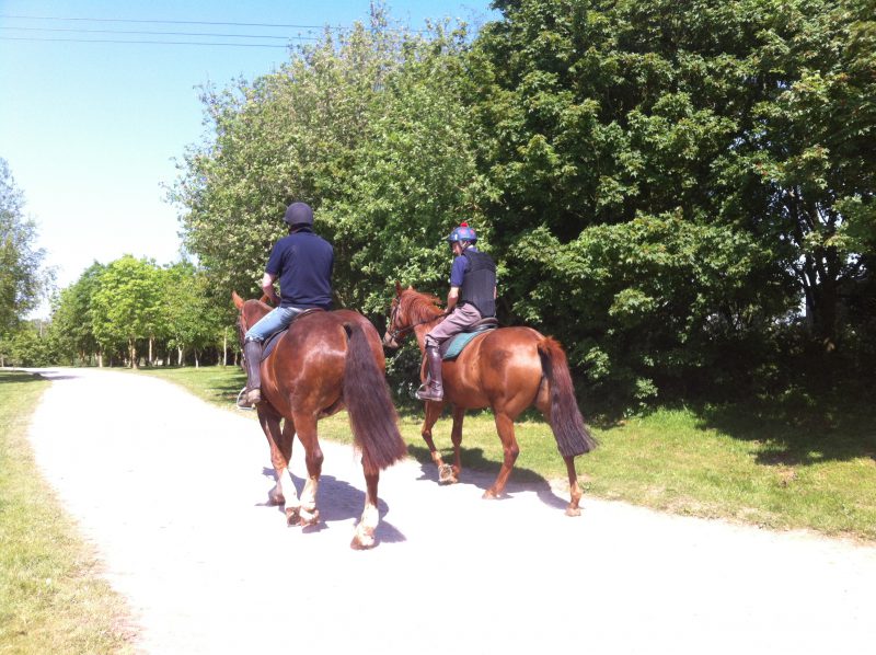 Great Ashley Farm