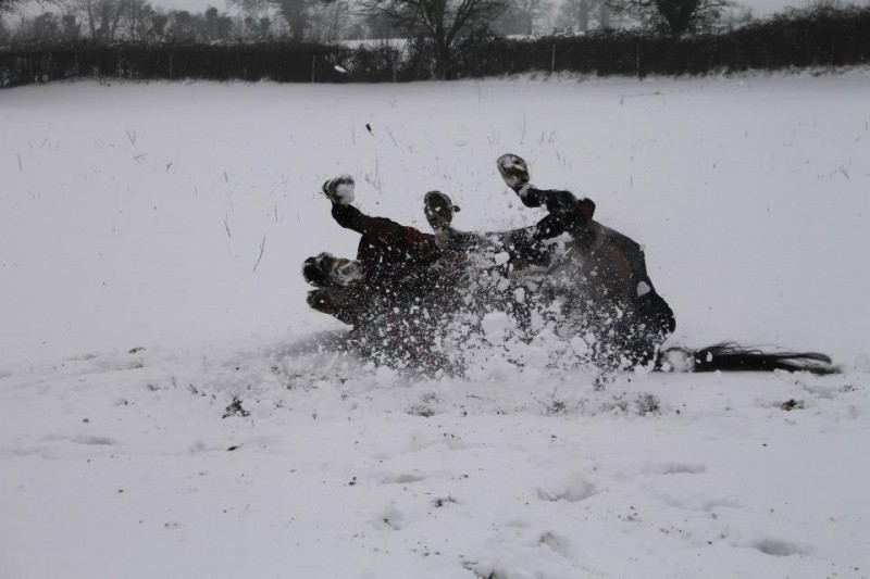 frolicking-in-the-snow