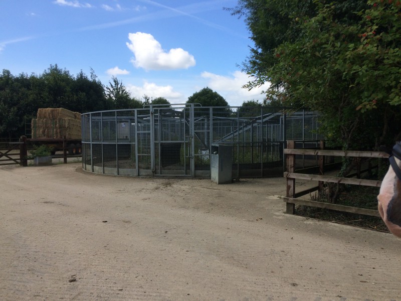 Great Ashley Farm