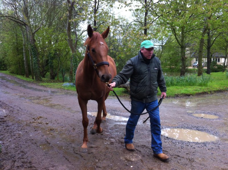 Great Ashley Farm