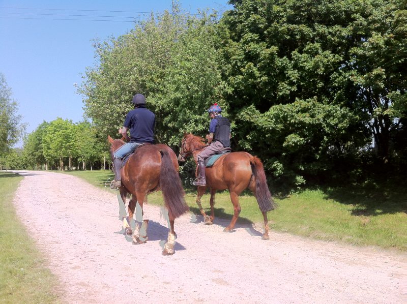 Great Ashley Farm