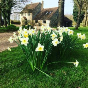 Springtime at Great Ashley Farm