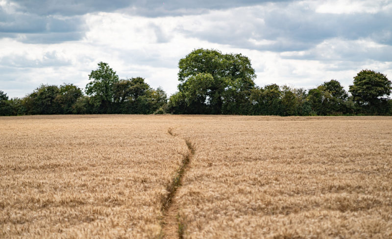 Great Ashley Farm