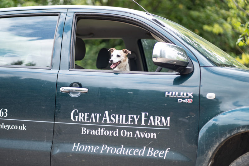 Great Ashley Farm