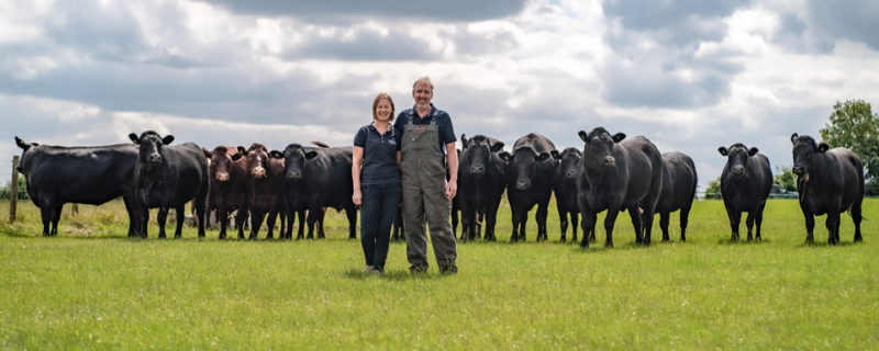 Great Ashley Farm