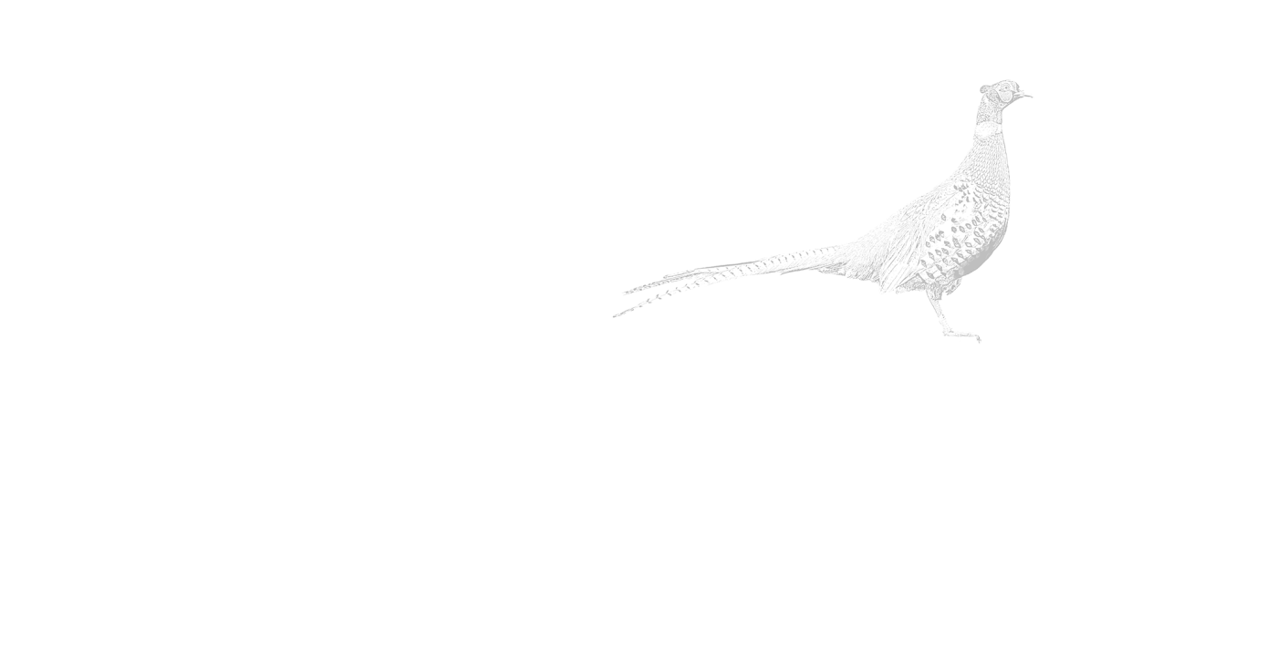 Great Ashley Farm