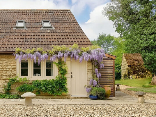 Front view of the holiday cottage at Great Ashley Farm with wisteria growing above the doors and windows