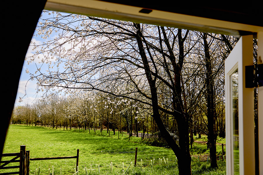 Great Ashley Farm