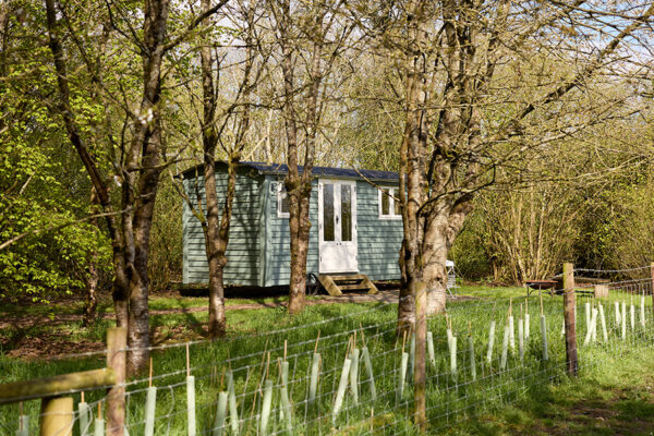 An external view of The Teaser Shepherds hut at Great Ashley Farm located in a private wood